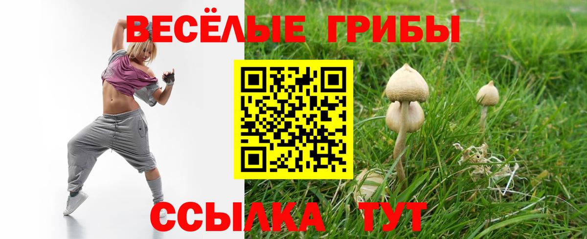 Галлюциногенные грибы GOLDEN TEACHER Урус-Мартан